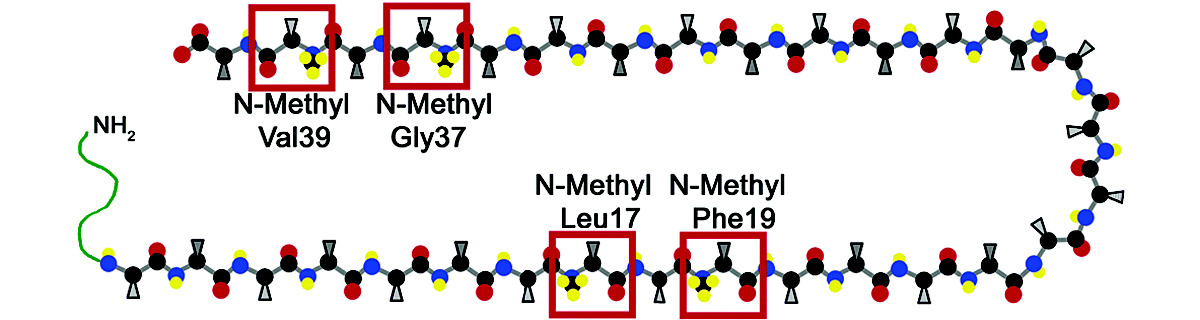 Cyclic peptide editorial banner from the authorized Shanghai Apeptide source archive