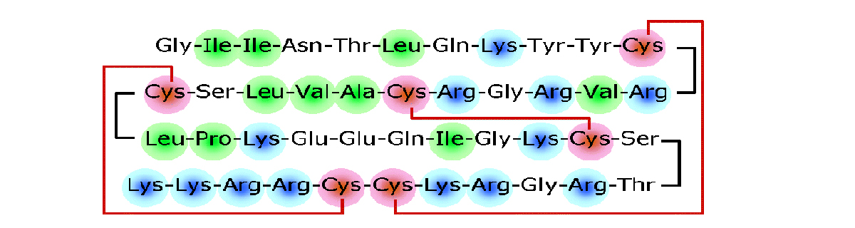 Peptide sequence-map illustration from the authorized Shanghai Apeptide source archive