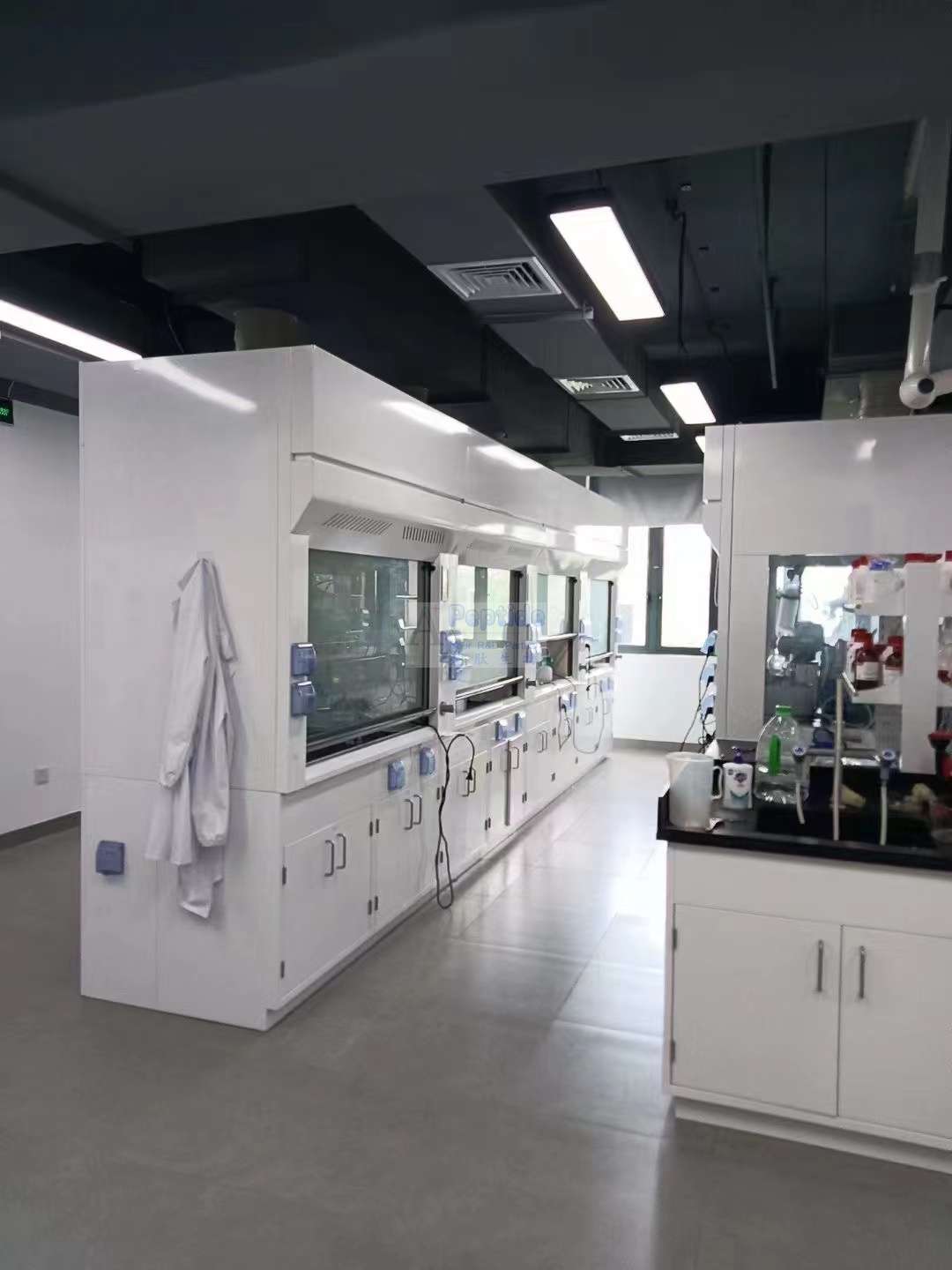 Laboratory fume-hood workspace in the authorized Shanghai Apeptide source archive