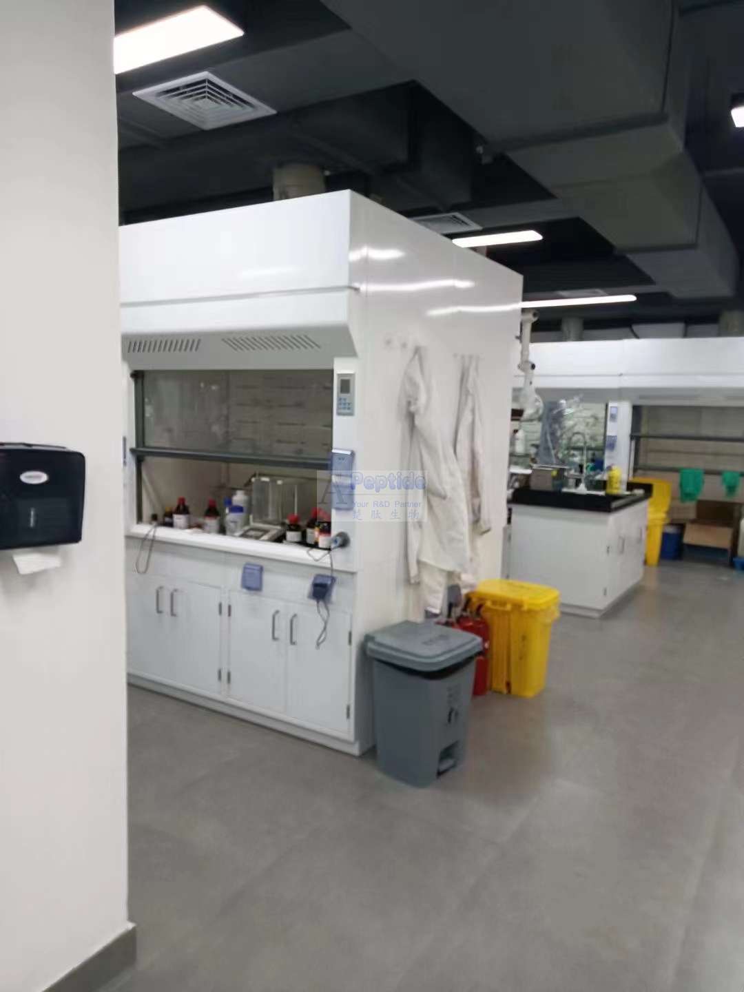 Second laboratory fume-hood view in the authorized Shanghai Apeptide source archive